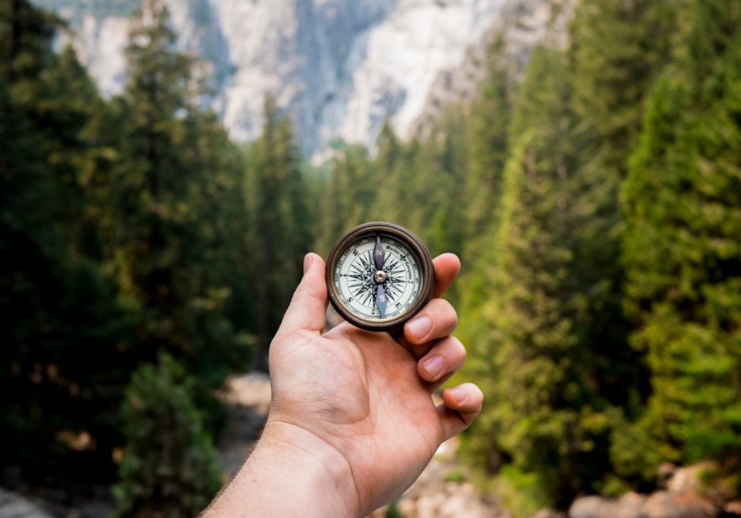 person holding compass facing towards green pine trees